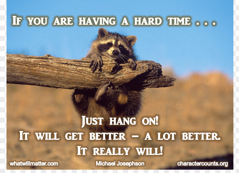 Quotation Hamster Saying Humour PNG