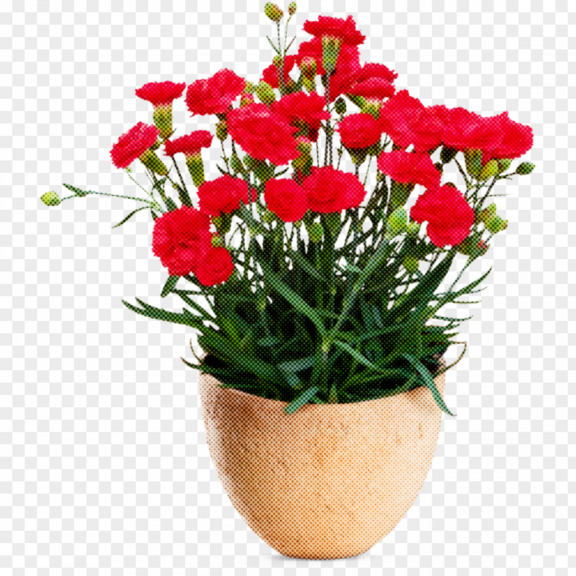 Rose PNG