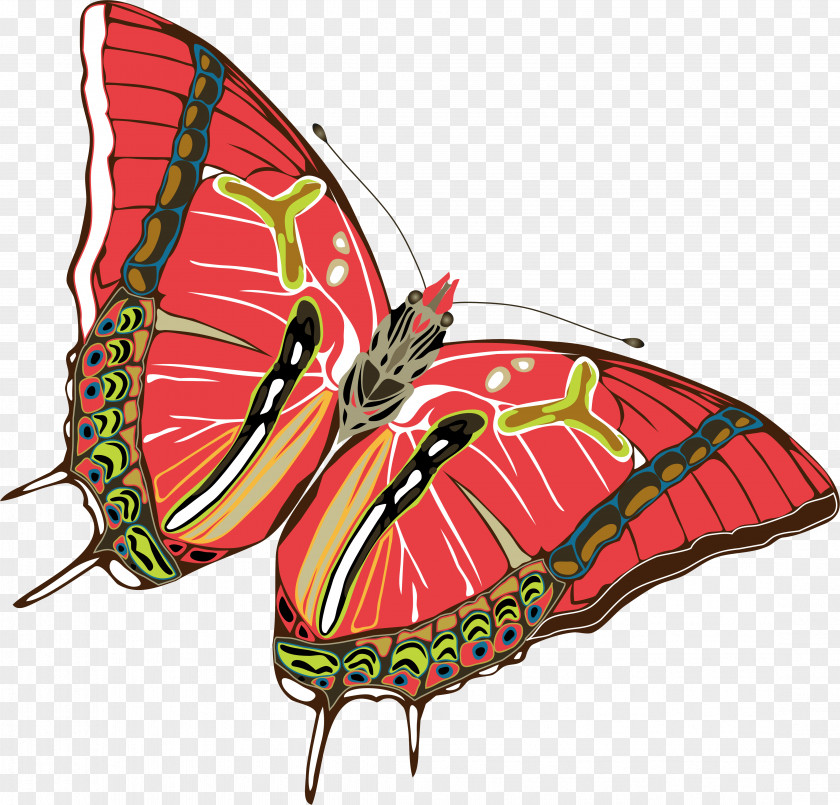 Vector Butterfly Monarch Moth Nymphalidae PNG