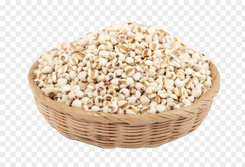 Barley Grains Adlay Cereal Congee U6742u8c37 PNG