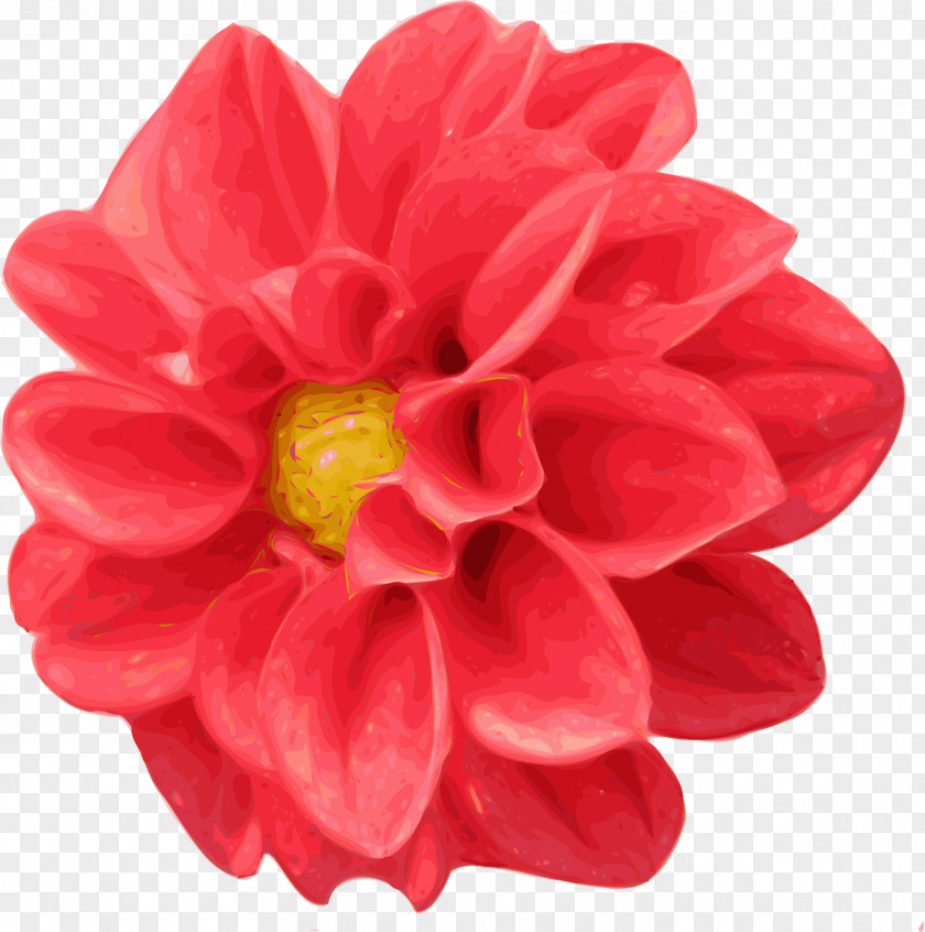 Dahlia Flower Cliparts Free Content Clip Art PNG