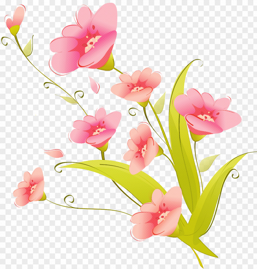 Flower Pink Cut Flowers Plant Petal PNG