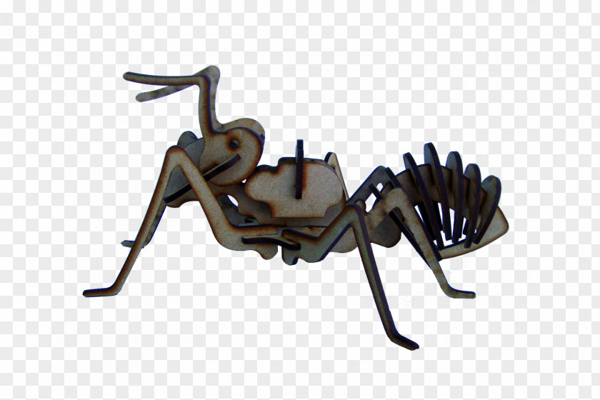 Insect Horse Scorpion Cygnini PNG