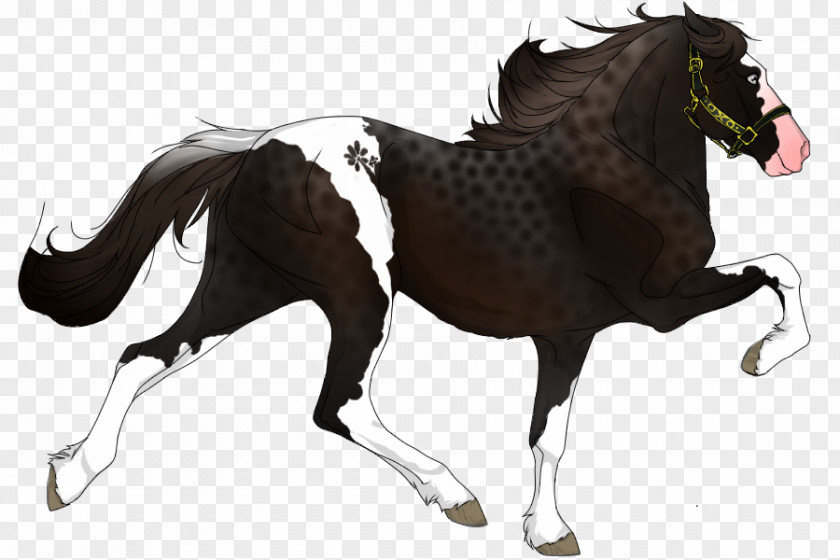 Minimal Tobiano Mustang Pony Appaloosa Stallion Mare PNG