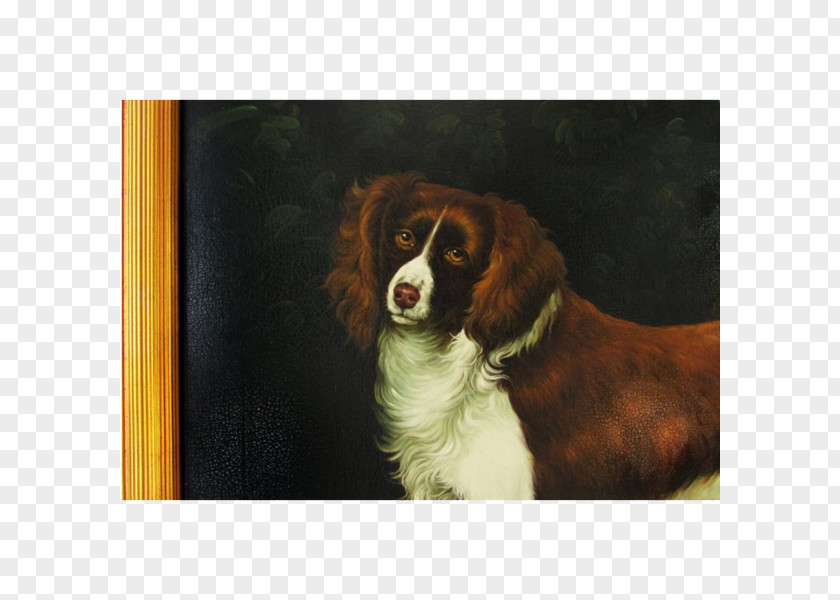 Painting English Springer Spaniel Cavalier King Charles Dog Breed Companion PNG