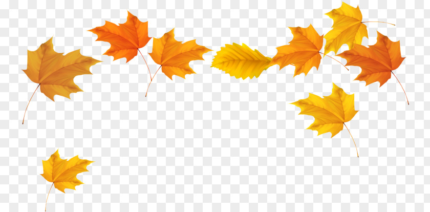 Plane Autumn Maple Leaf PNG