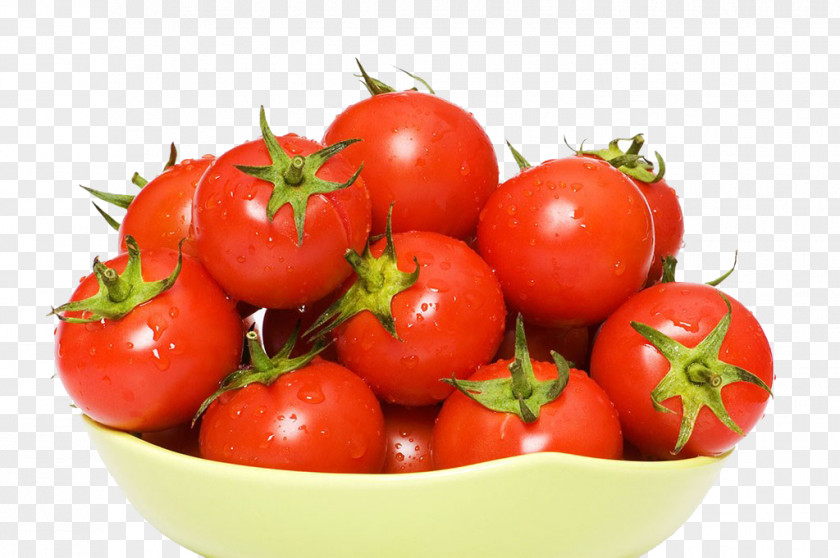 A Picture Of Tomatoes Plum Tomato Bush Stock Photography PNG