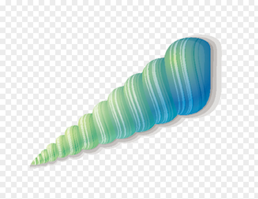 Conch Euclidean Vector Clip Art PNG