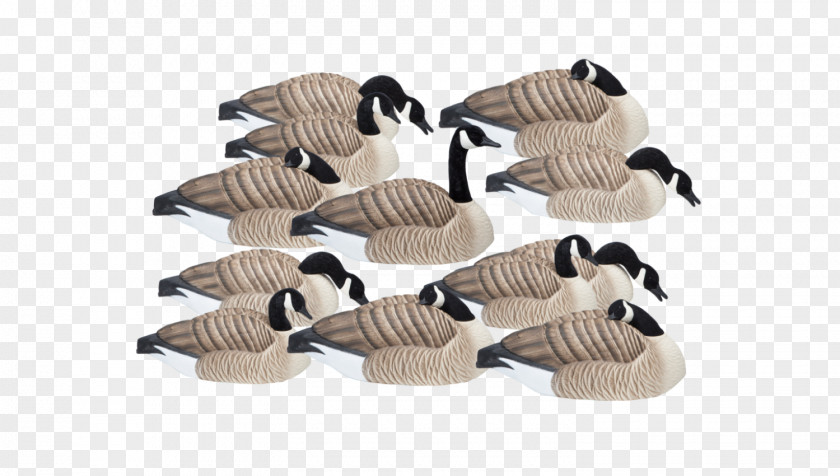 Goose Waterfowl Hunting Decoy Final Approach 474165fa Last Pass HD PNG