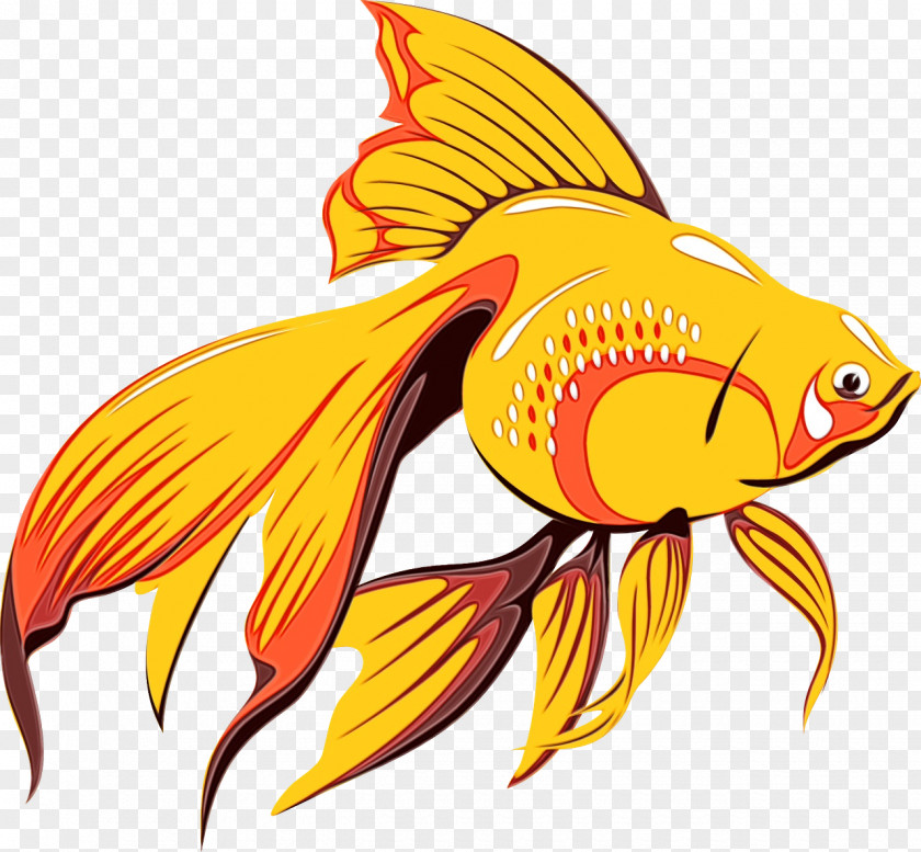 Rayfinned Fish Tail Goldfish Fin Bony-fish PNG