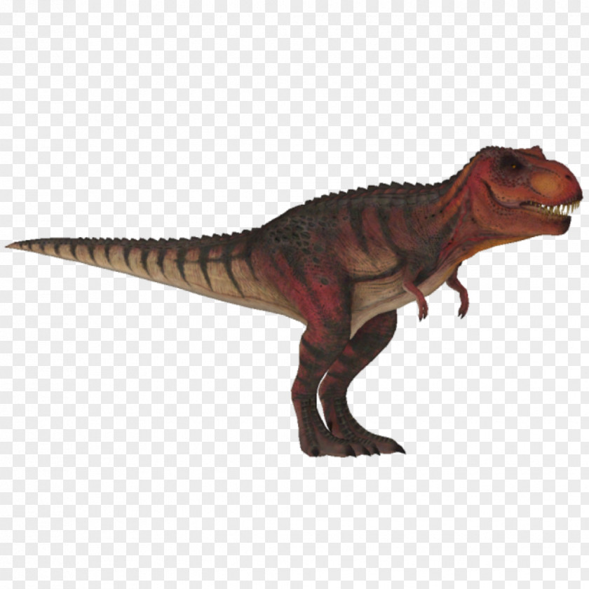 Tyrannosaurus Primal Carnage: Extinction Dinosaur Zoo Tycoon 2 PNG