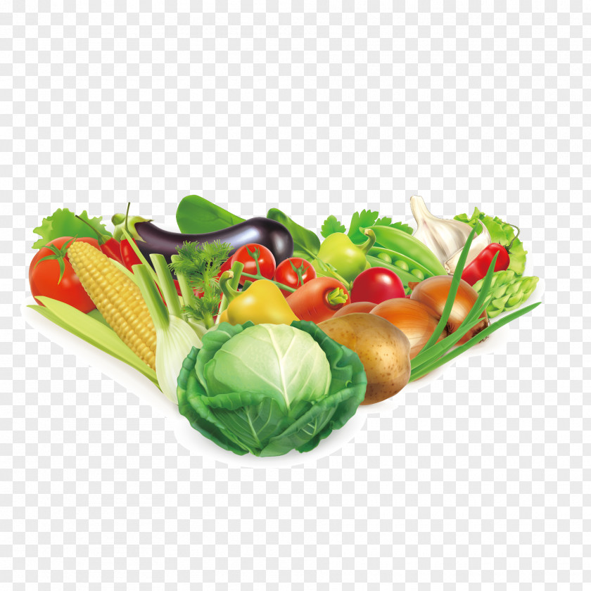 Vector Lifelike Vegetables Vegetarian Cuisine Bell Pepper Grocery Store Stock PNG