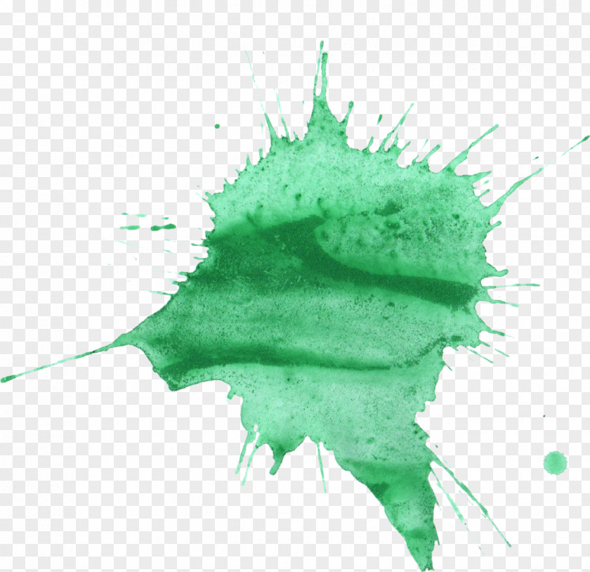 WATERCOLOR GREEN Green Watercolor Painting Marketing Turquoise PNG