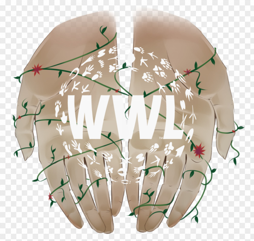 WWL-TV Graphic Design Logo Art PNG