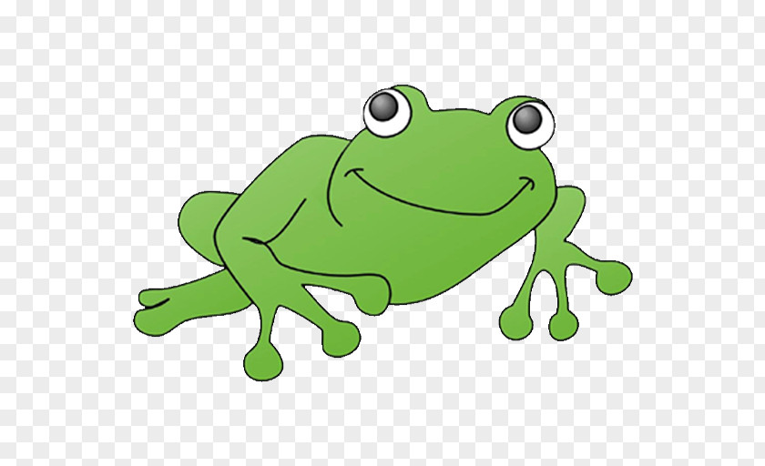 Amphibian Toad Mater Clip Art PNG