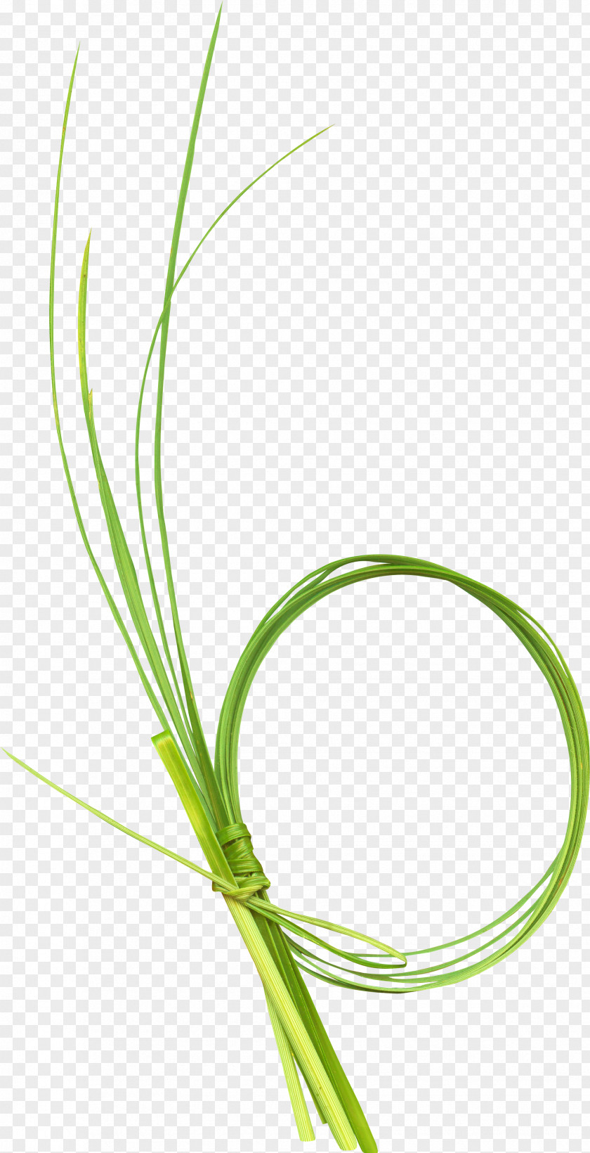 Beautiful Green Grass Ring Download Icon PNG