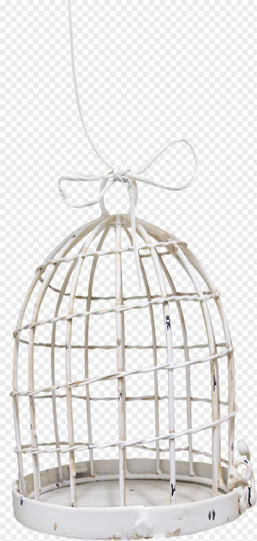 Bird Cage Product Design Highway M06 Painting PNG