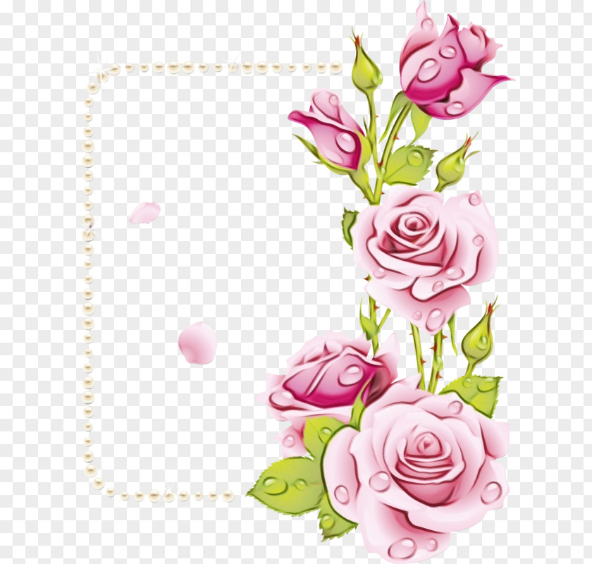 Cut Flowers Floral Design Garden Roses PNG