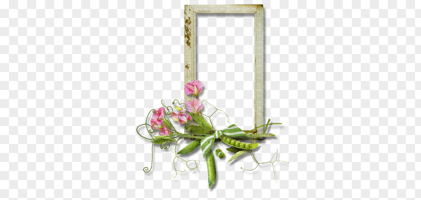 Floral Design Artificial Flower Picture Frames PNG