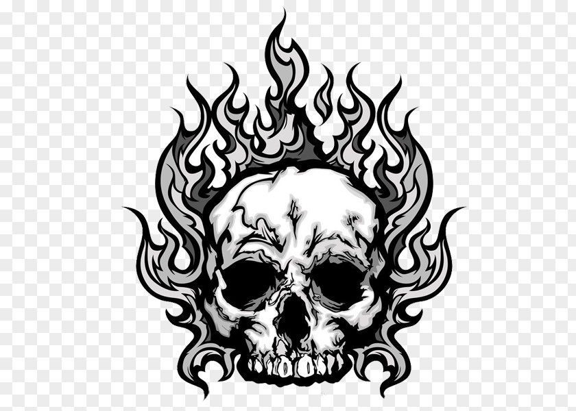 Free Wildfire Skull To Pull The Material Royalty-free Human Skeleton Clip Art PNG