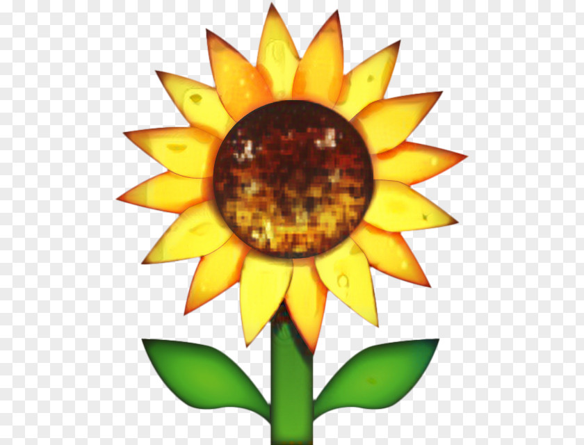Gazania Wildflower Iphone Flower Emoji PNG