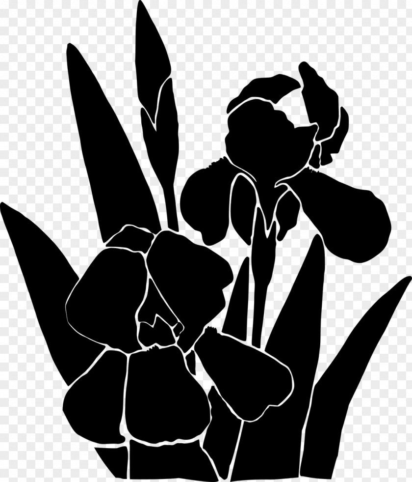 M Clip Art Character Silhouette Flower Black & White PNG