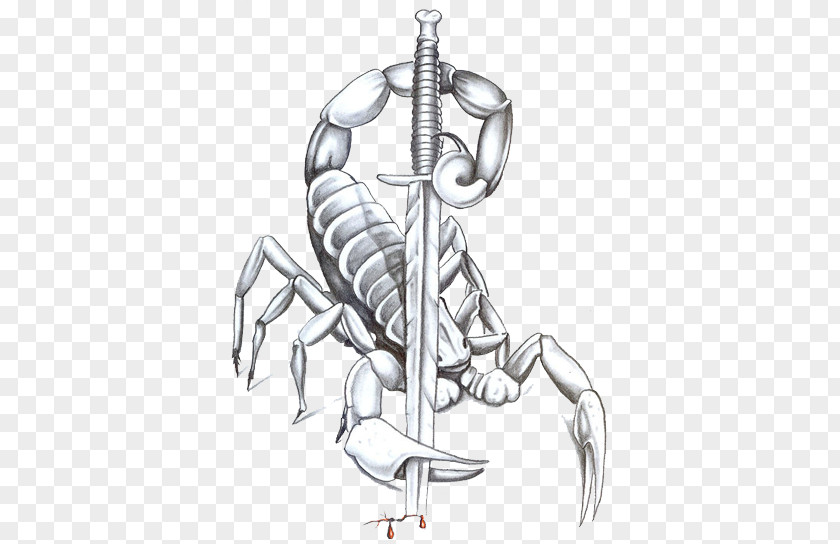 Sketch Wind Scorpion Material Tattoo PNG