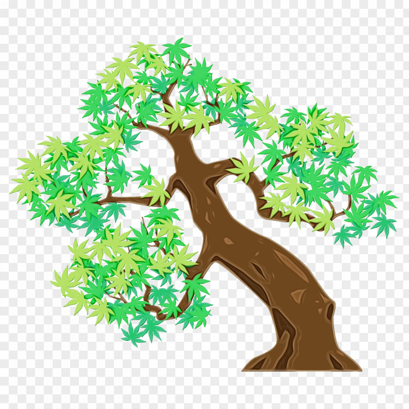 Trunk Houseplant Tree Green Branch Plant Woody PNG