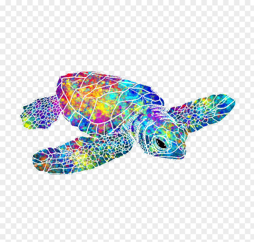 Turtle Green Sea Towel Color PNG