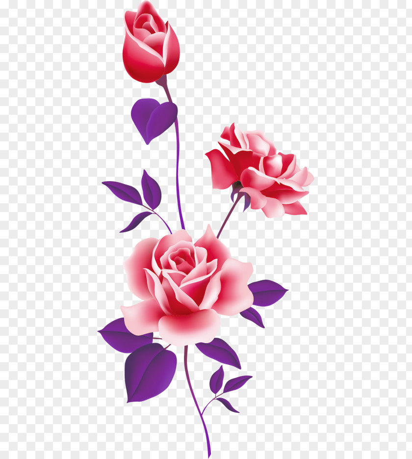 Vector Floral Flowers Rose Pink Free Content Clip Art PNG