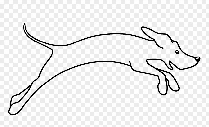 Whiskers Bottlenose Dolphin Cartoon PNG