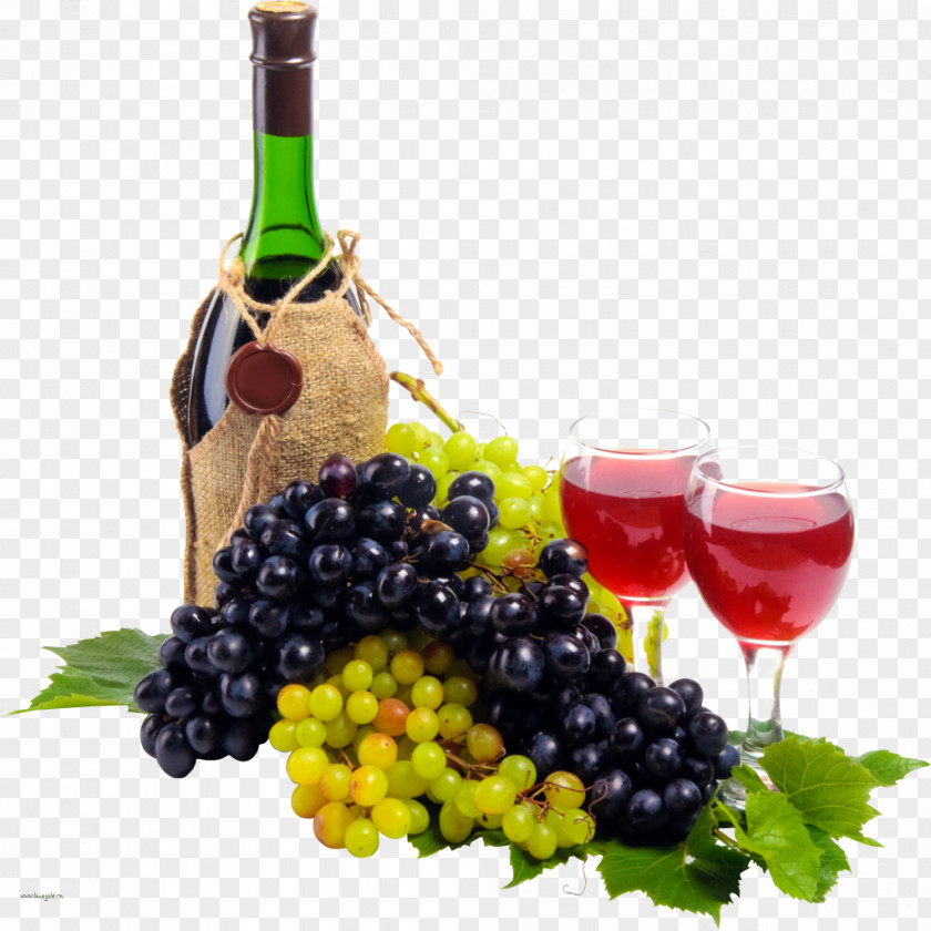 Wine Red Common Grape Vine Glass PNG