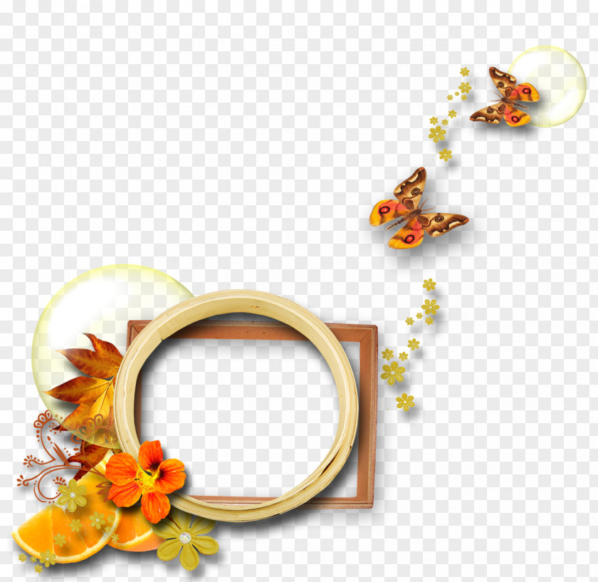Autumn Wreaths Picture Frames Wreath PNG