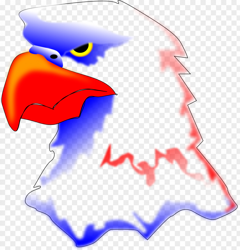Flagred Beak Bald Eagle Clip Art PNG