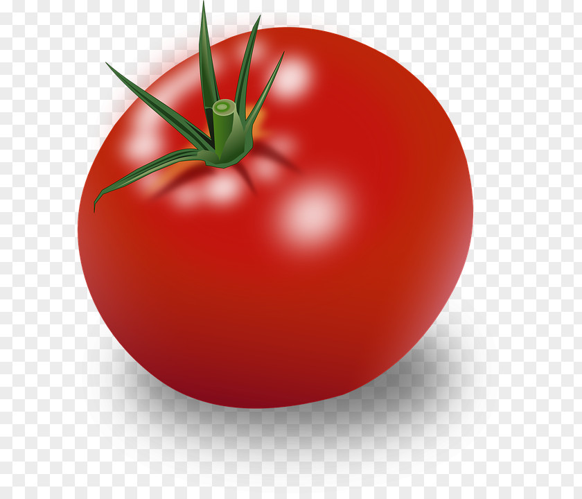 Vegetable Hamburger Cherry Tomato Clip Art PNG
