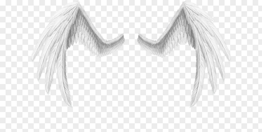 Wings Pattern Material DeviantArt Work Of Art Artist PNG