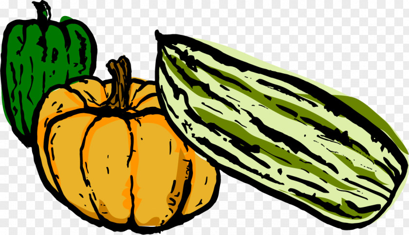 Fig Carrot Pumpkin Gourd Calabaza Vegetarian Cuisine Melon PNG