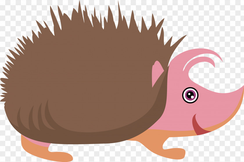 Hedgehog Cartoon Vector Clip Art PNG