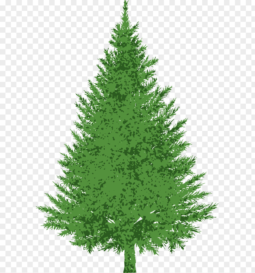 Hmmmm Cliparts Evergreen Pine Royalty-free Clip Art PNG