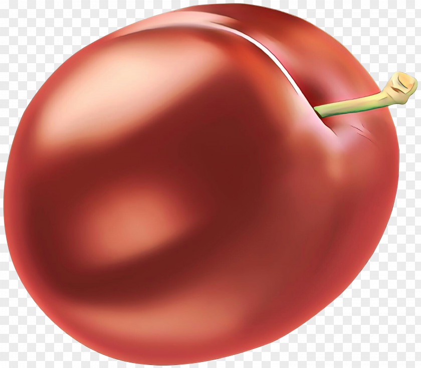 Solanum Food Tomato Cartoon PNG