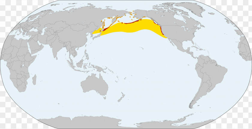 World Map New Zealand Globe PNG