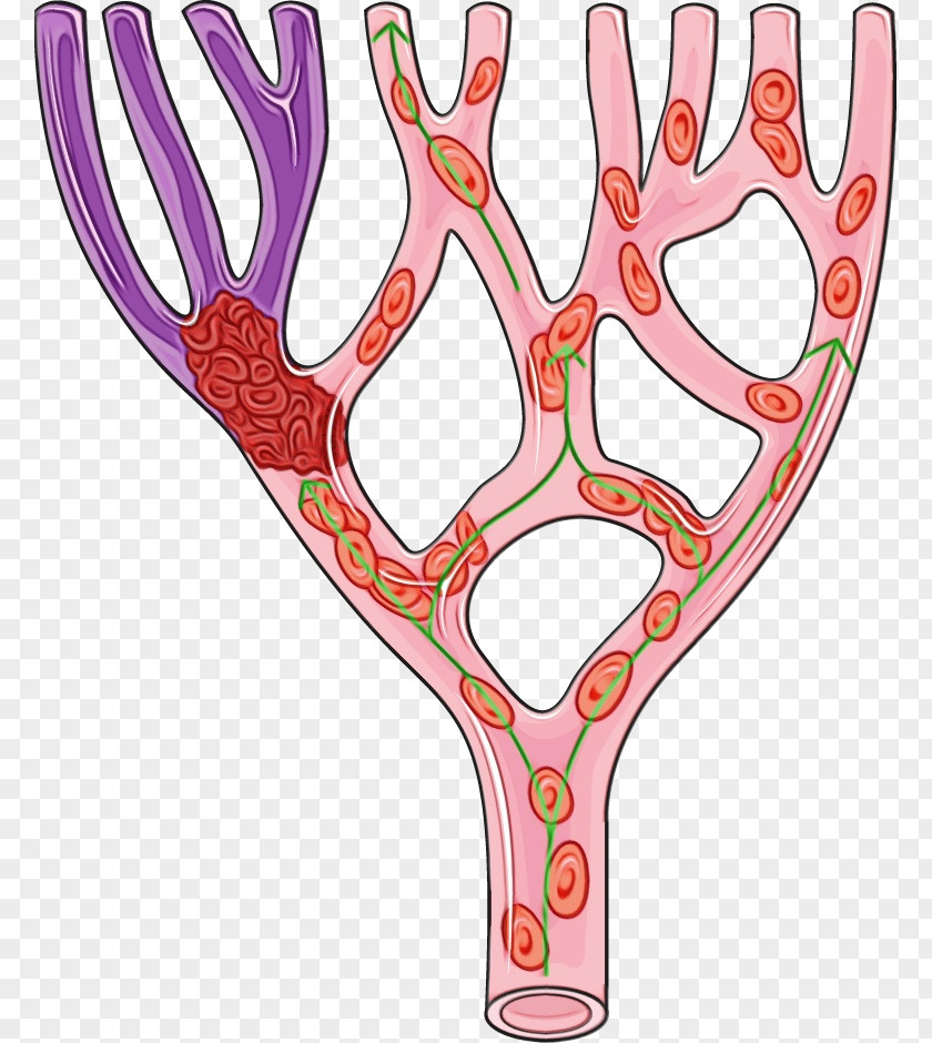 Antler Pink M Line M-tree Tree PNG