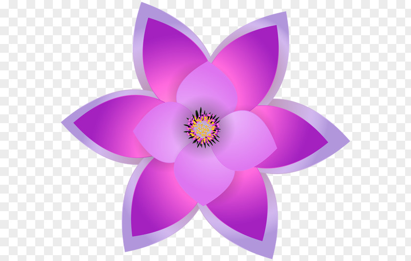 Decorative Flower SafeSearch Art Lavender Clip PNG