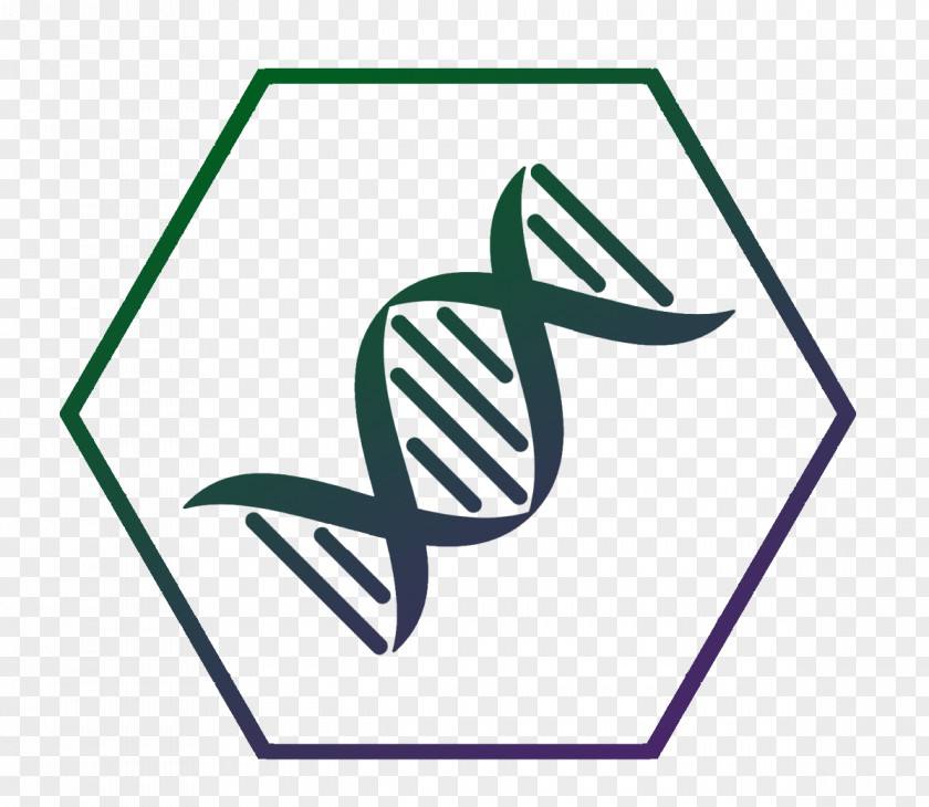 DNA Nucleic Acid Double Helix Gene Molecule Clip Art PNG