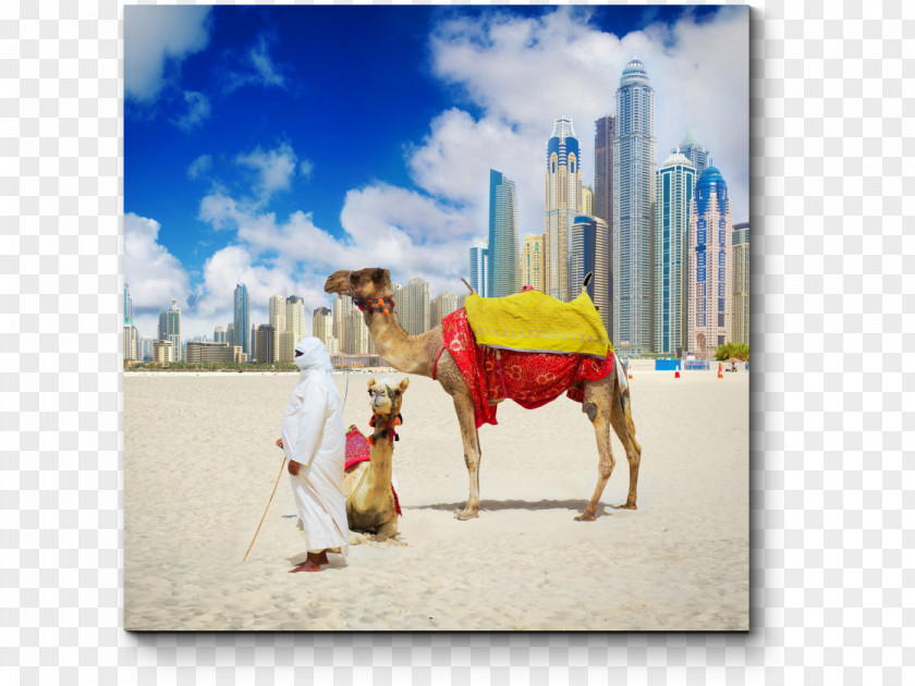 Dubai Abu Dhabi Package Tour Hotel Beach PNG