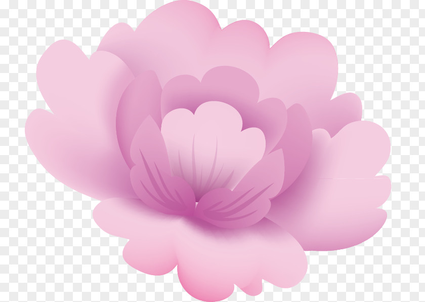 Wedding,Corner Flower Rose Peony Herbaceous Plant Close-up Petal PNG