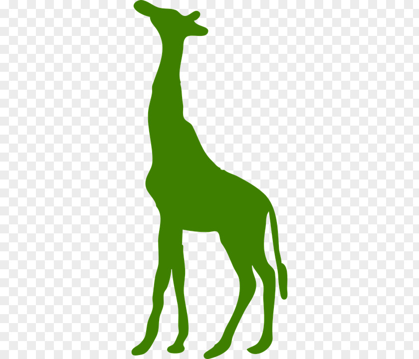 Giraffe Decal Sticker Clip Art PNG