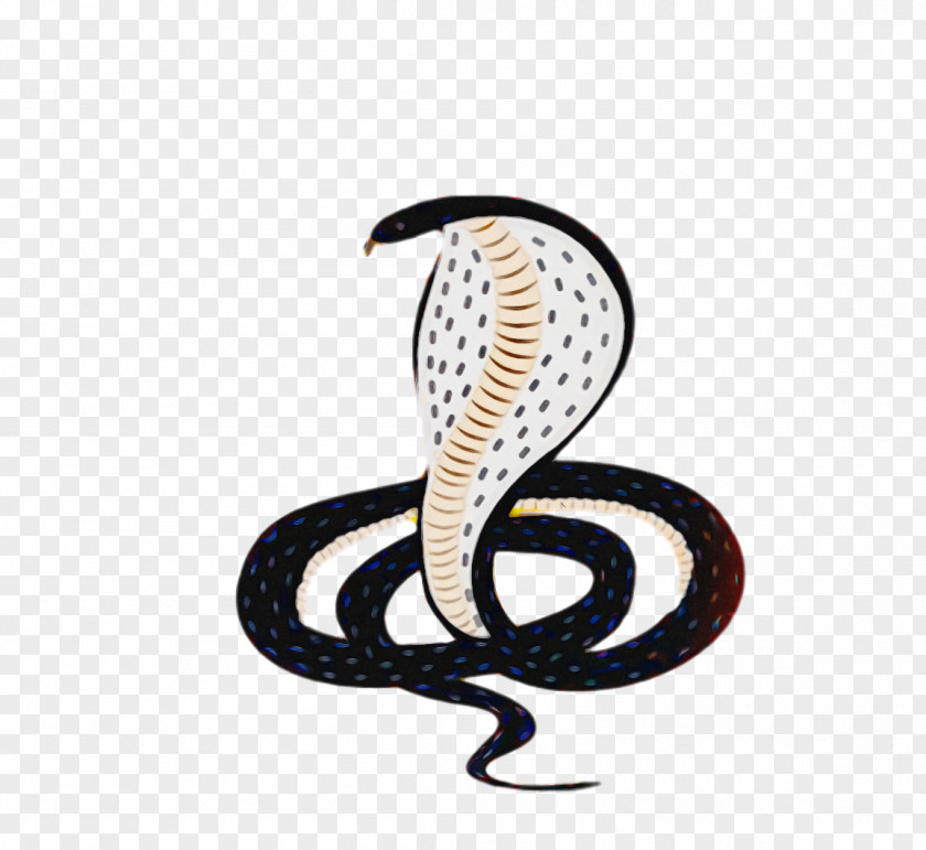 Naga Panchami Naaga Pujaa PNG