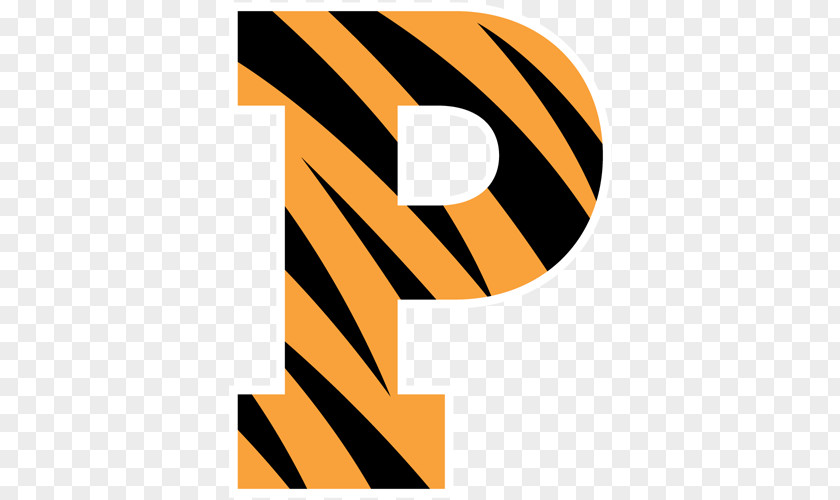 Princeton University Tigers Football Men's Basketball Women's Soccer PNG