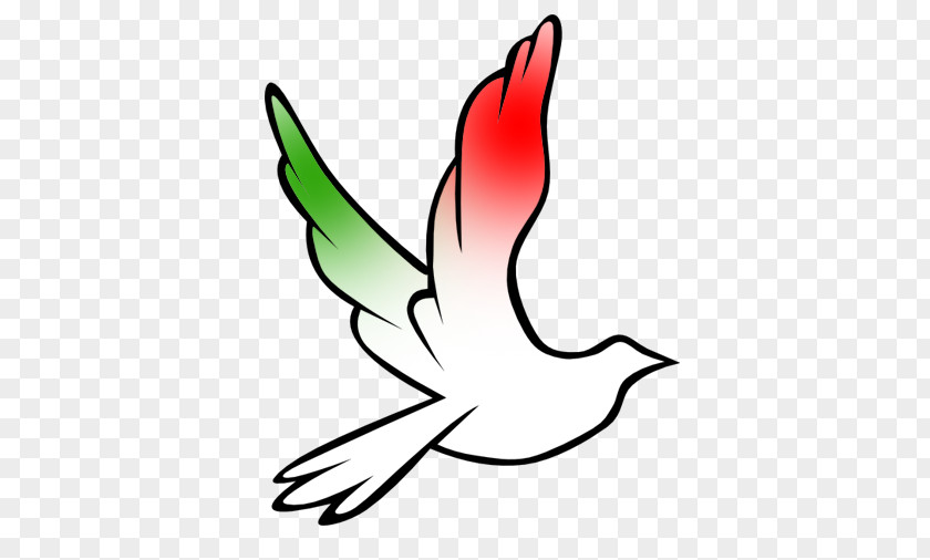 Symbol Rock Dove Doves As Symbols Peace Columbidae PNG